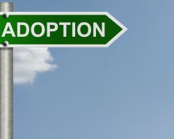 Guide to the Adoption Process in Nevada: Understanding Nevada State Laws