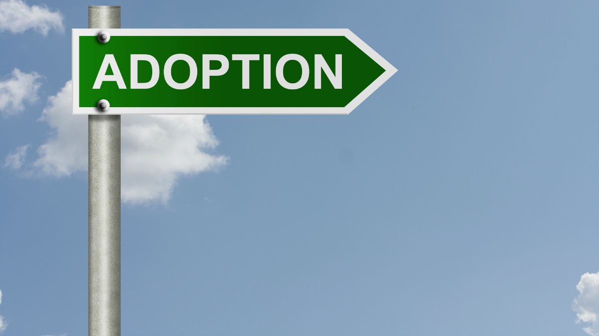 Adoption Process in Nevada