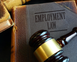 A Comprehensive Guide to Nevada’s Employment Law: An In-depth Look