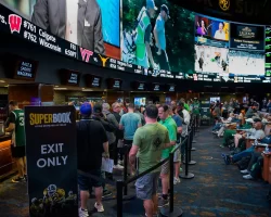 All You Need to Know About Taxes & Restrictions in Nevada’s Sports Betting Landscape