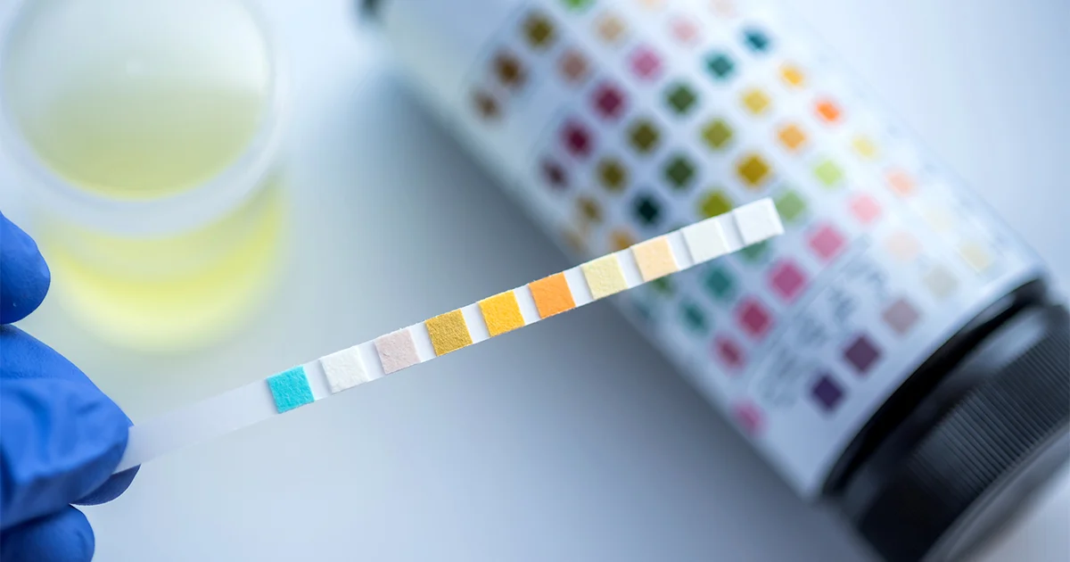 Workplace Drug Testing in Nevada