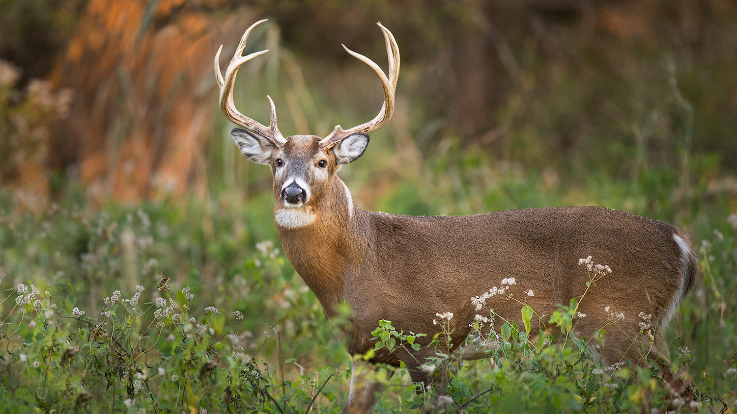 Nevada Tribal Hunting and Fishing Rights