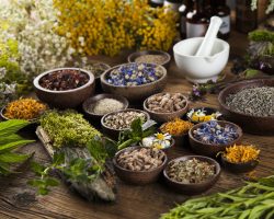 Traditional Medicine and Nevada Law: The Balance Between Tradition and Regulation