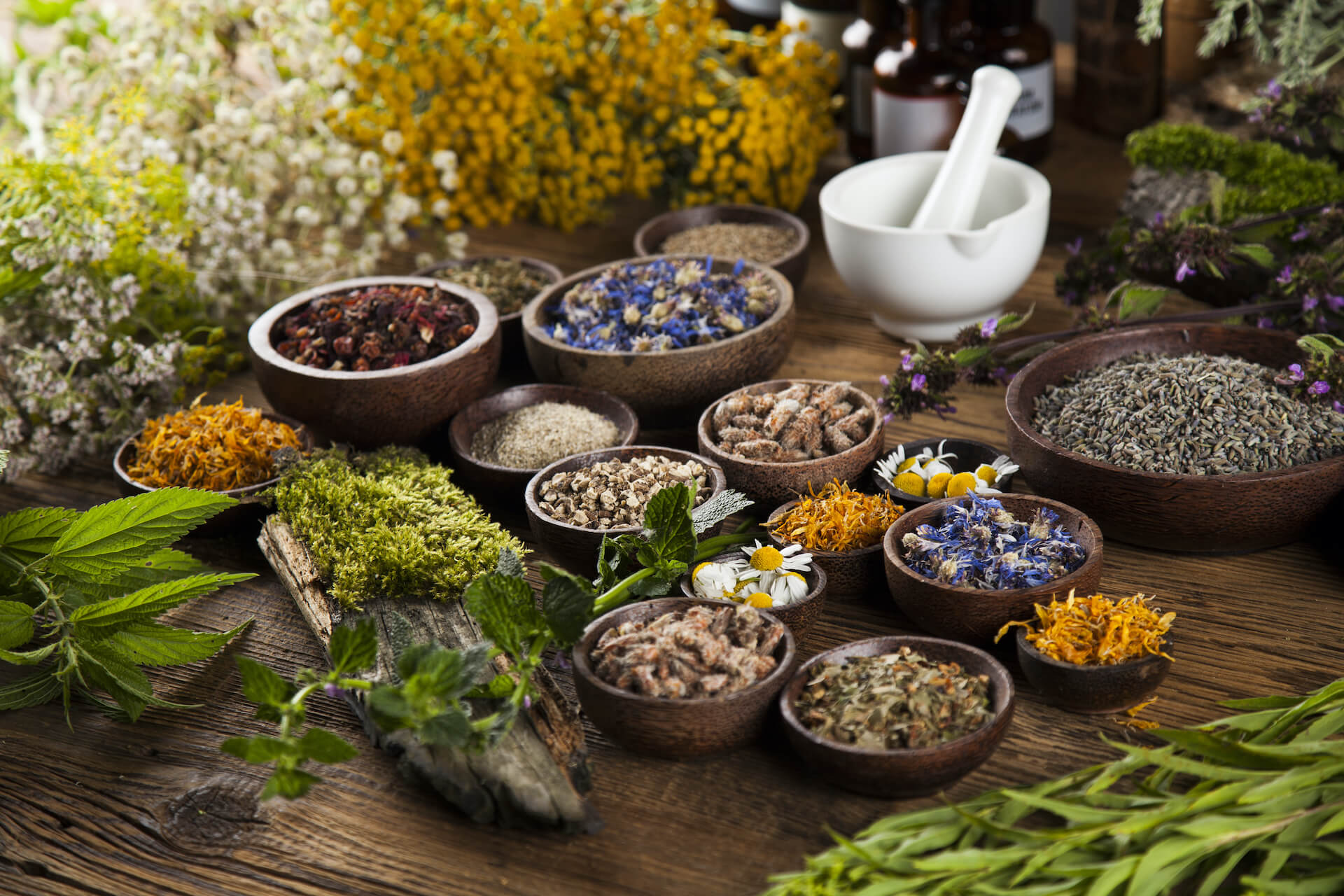 Traditional Medicine and Nevada Law- The Balance Between Tradition and Regulation