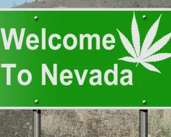 How Nevada’s Cannabis Laws Have Evolved